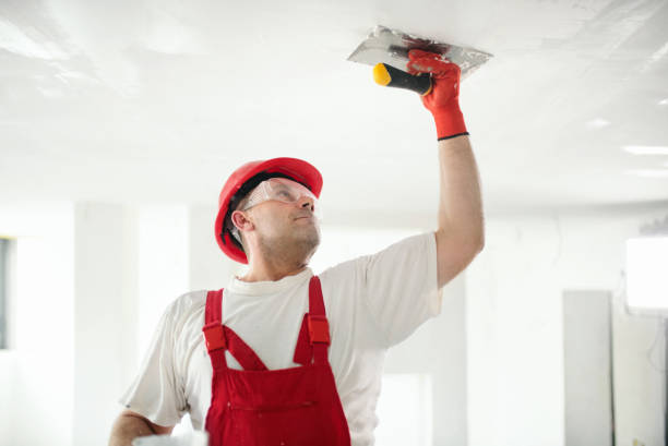 Best Eco-Friendly and Low-VOC Painting  in Wyoming, MN